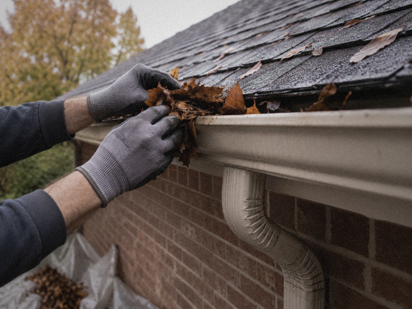 Gutter Service